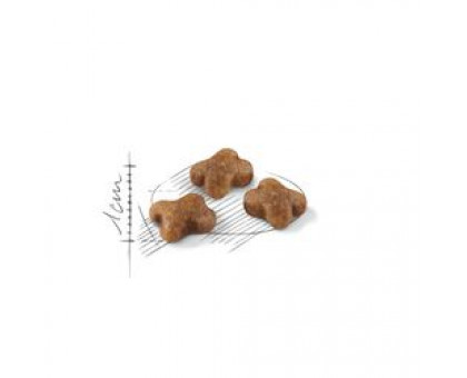Royal Canin Kitten для котят 2кг