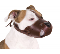 Намордник кожаный (вырубной) LuckyDog №1 (питбуль)